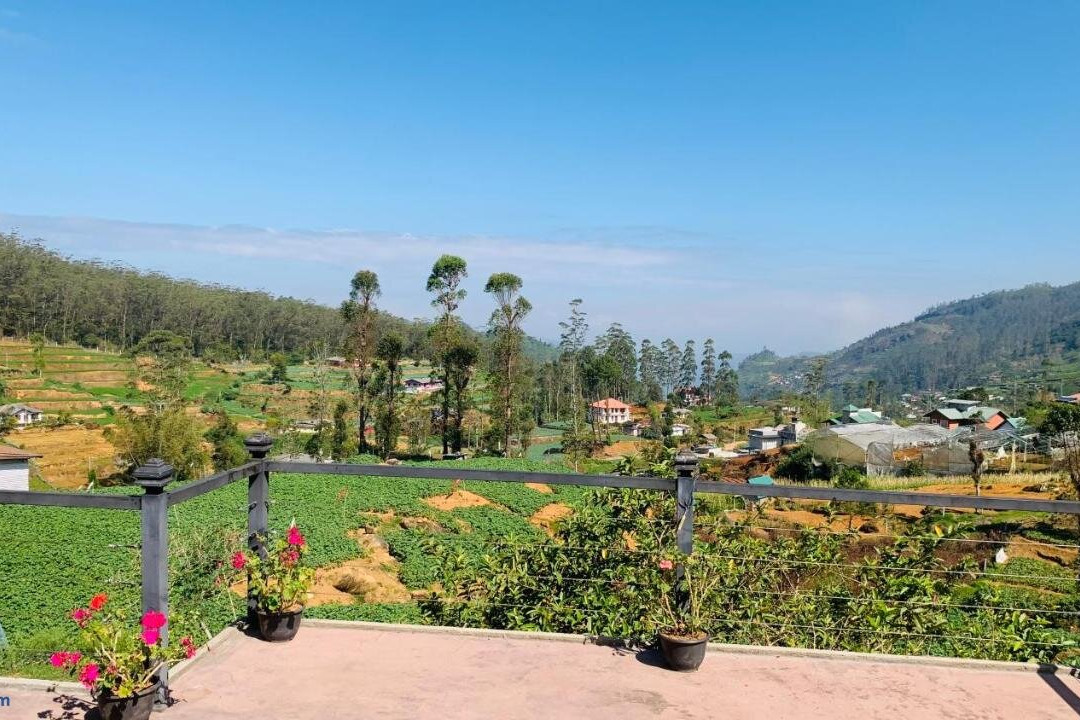 Venus Inn Nuwara Eliya