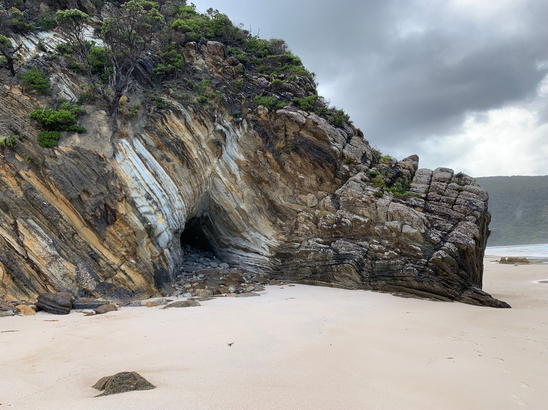 Tasmanian Wilderness Experiences景点图片