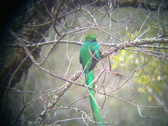 Road Scholar-波士顿必去景点