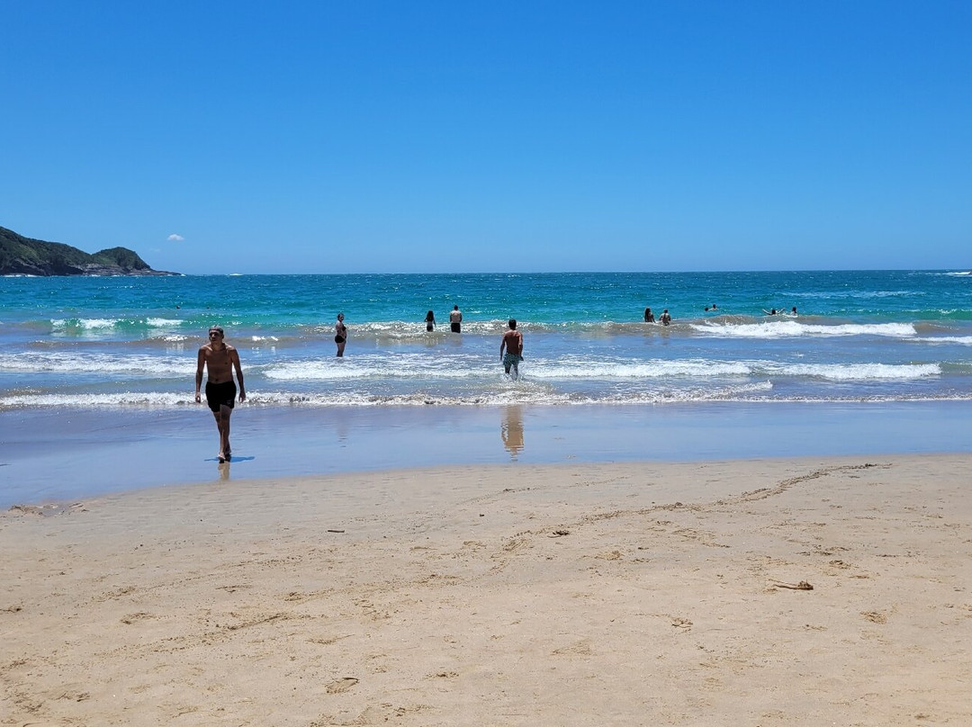 Praia da Tartaruga-布基亚斯必去景点