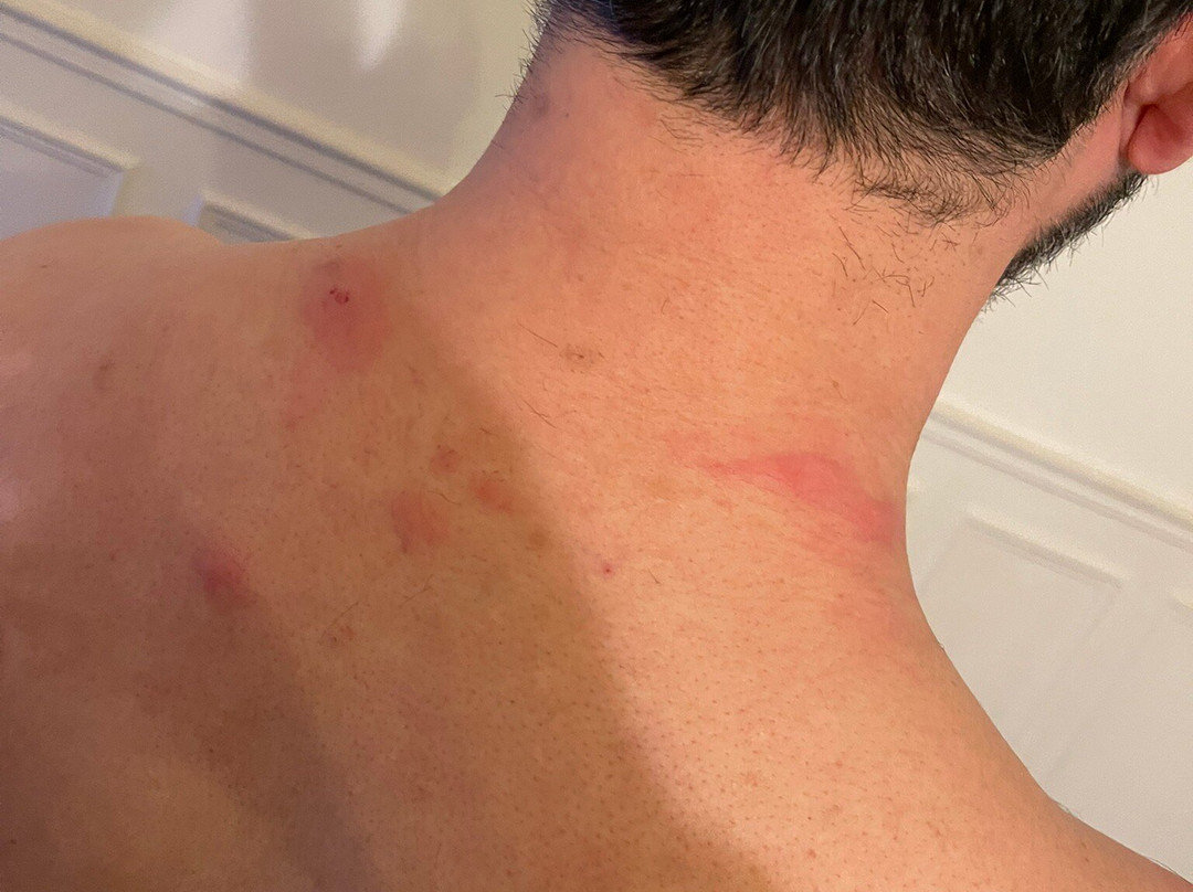 Hotel Le Morillon主图