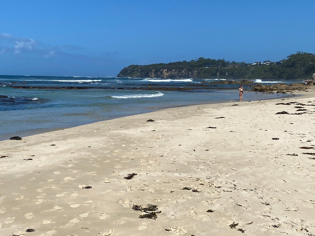 Mollymook Beach景点图片