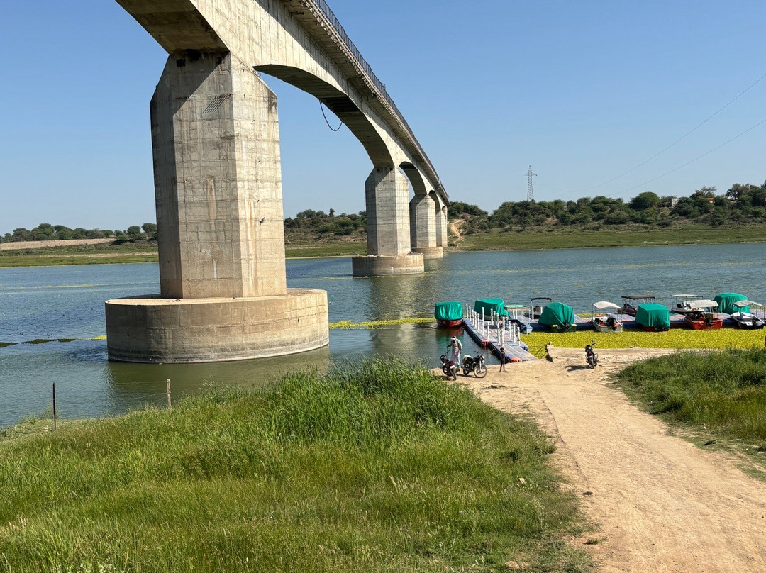 National Chambal Sanctuary景点图片