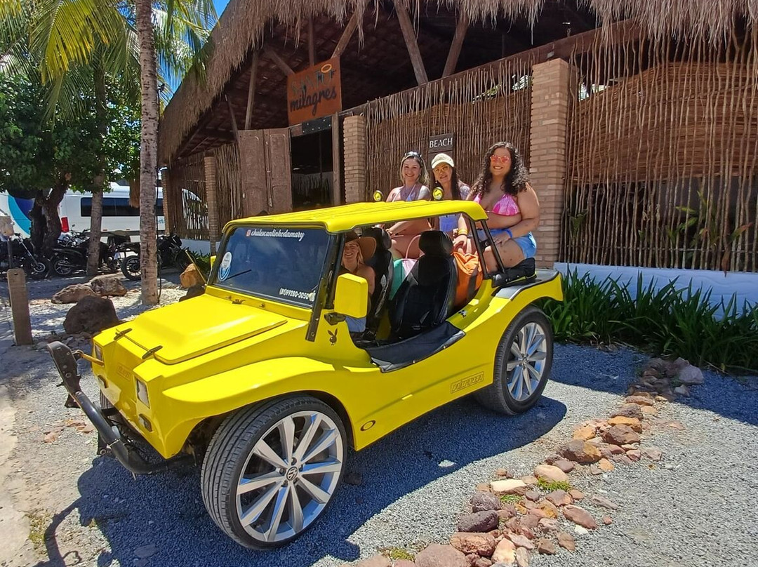 Milagres Receptivo-Sao Miguel dos Milagres必去景点