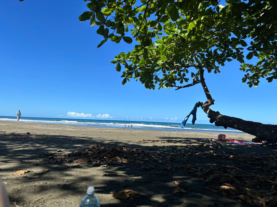 Playa Negra景点图片
