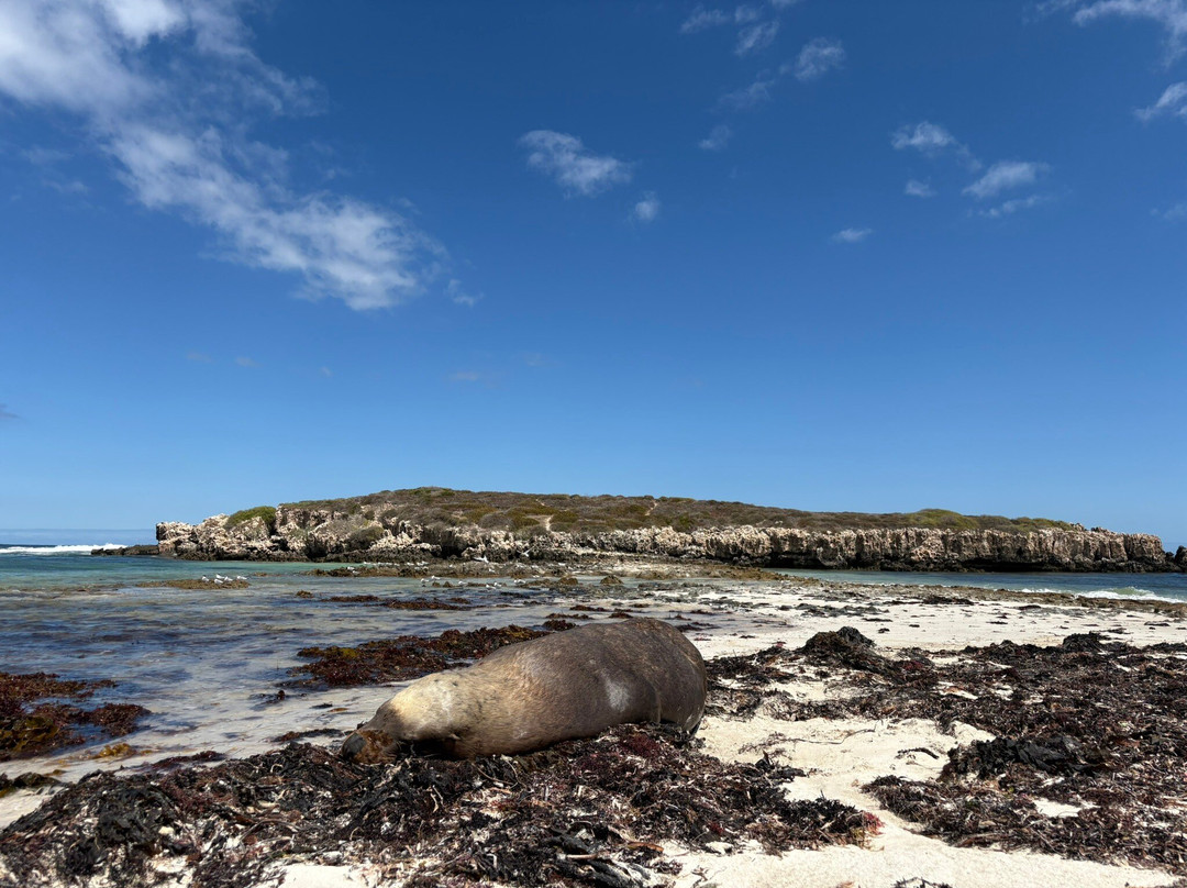 North Head-朱里恩湾必去景点