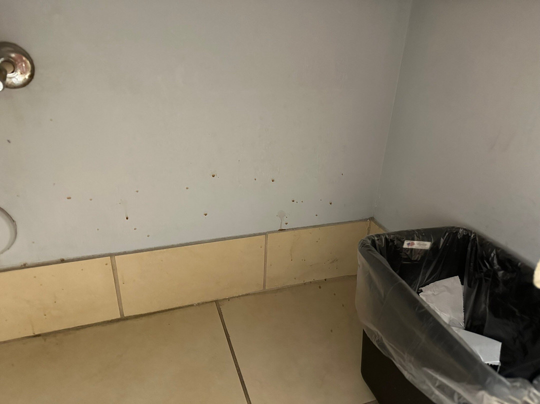 Hilton Garden Inn St. Louis Shiloh/O'Fallon IL主图