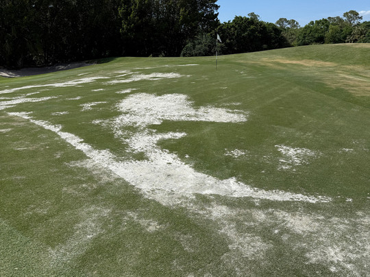 Old Corkscrew Golf Club-埃斯特罗必去景点