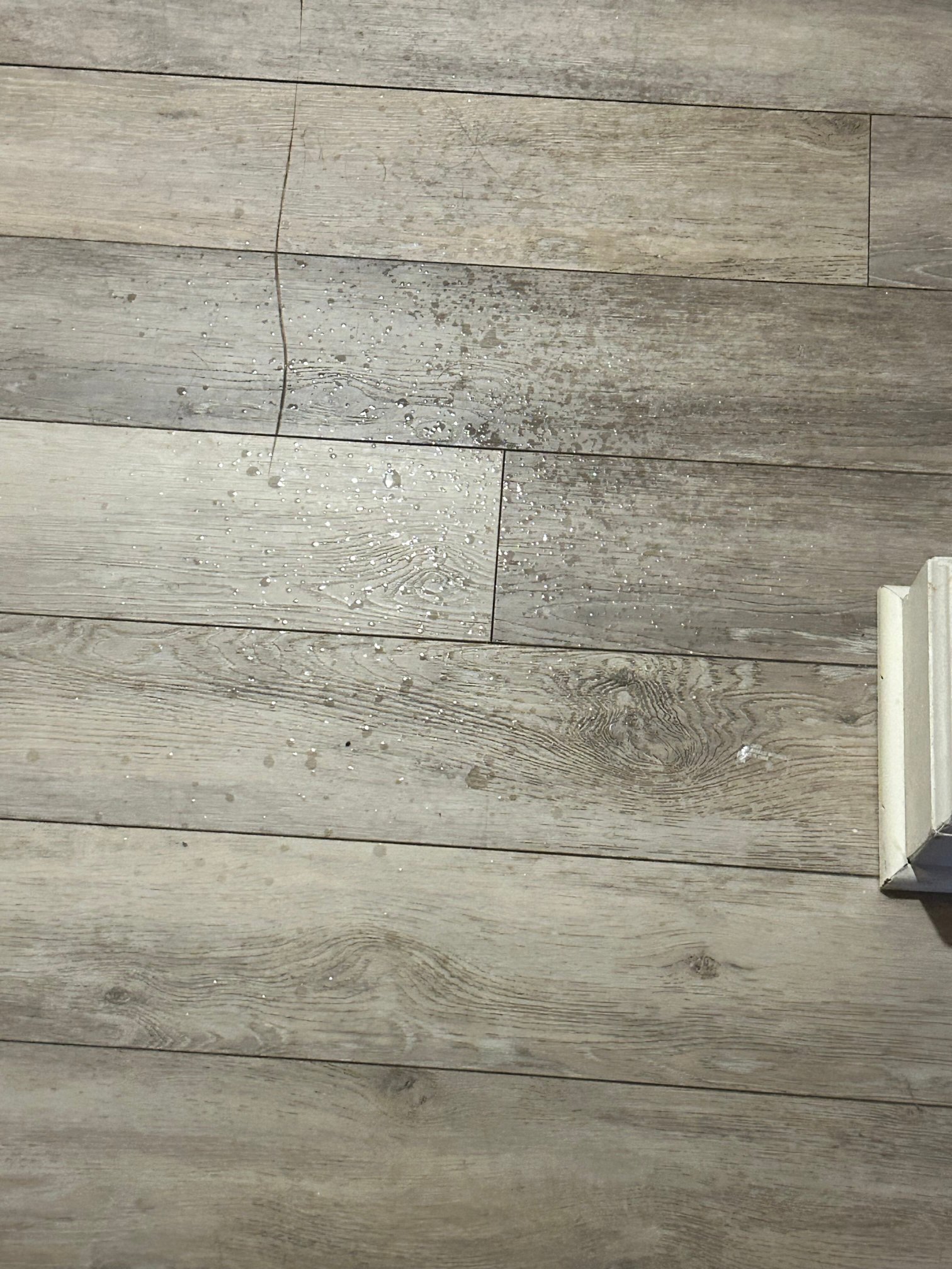 波托马克米贝斯特韦斯特酒店-官方