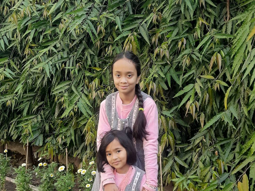 Rahi Tourist Bungalow主图