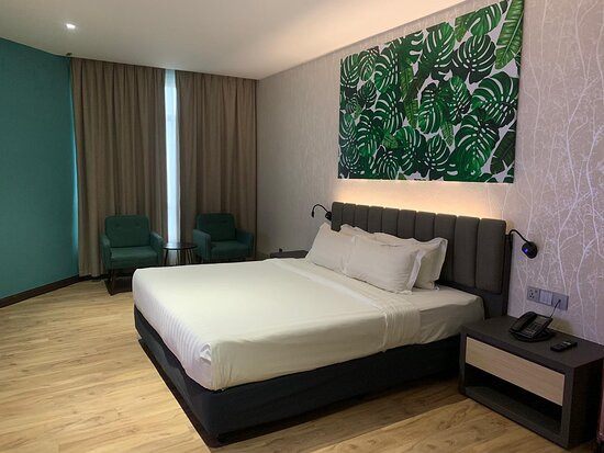 柔佛塞雷萨酒店主图