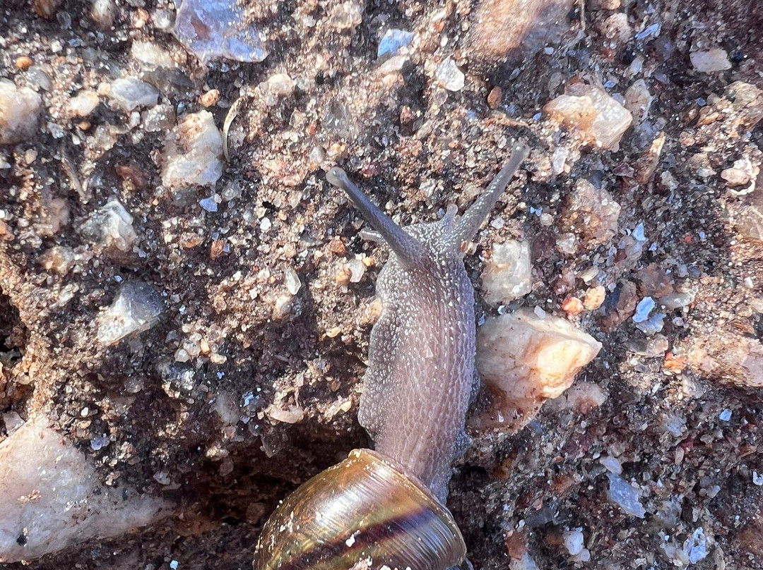 Oceanview Mine-Pala必去景点