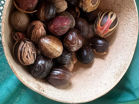 Tropical Adventures-St. George's必去景点