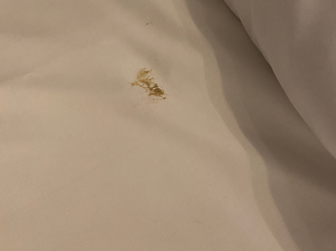 Royal Hainaut Spa & Resort Hotel主图
