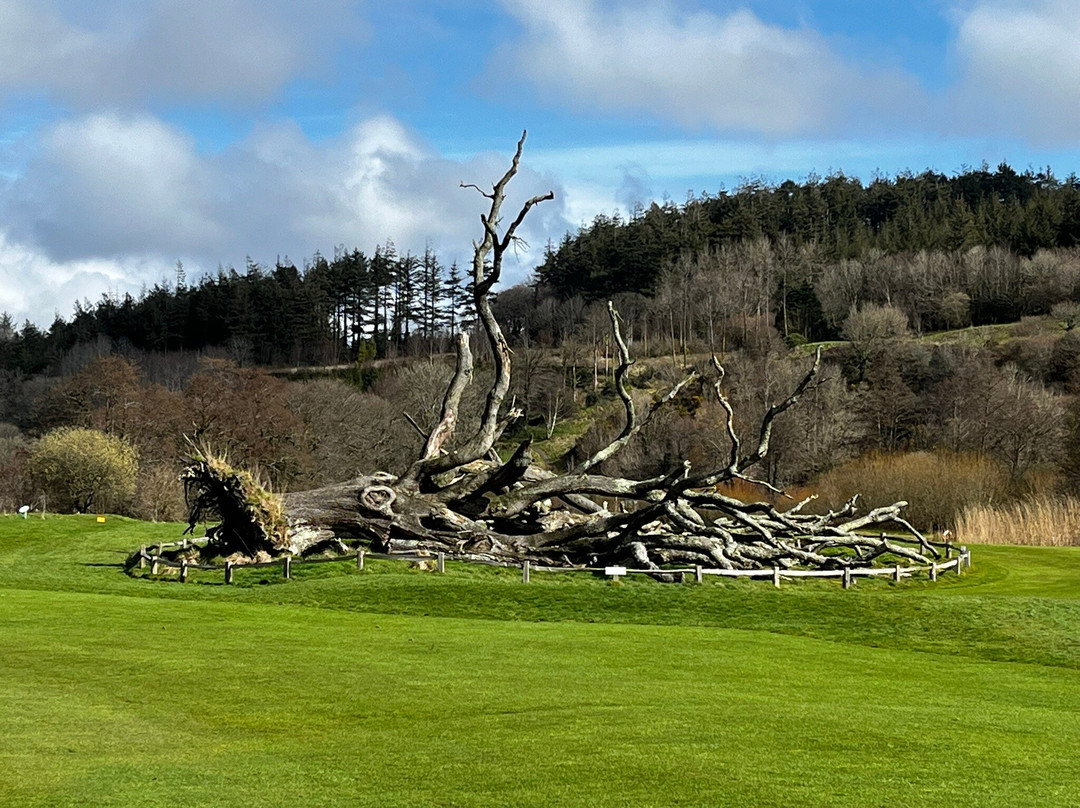 Gillyflower Golf-Lostwithiel必去景点