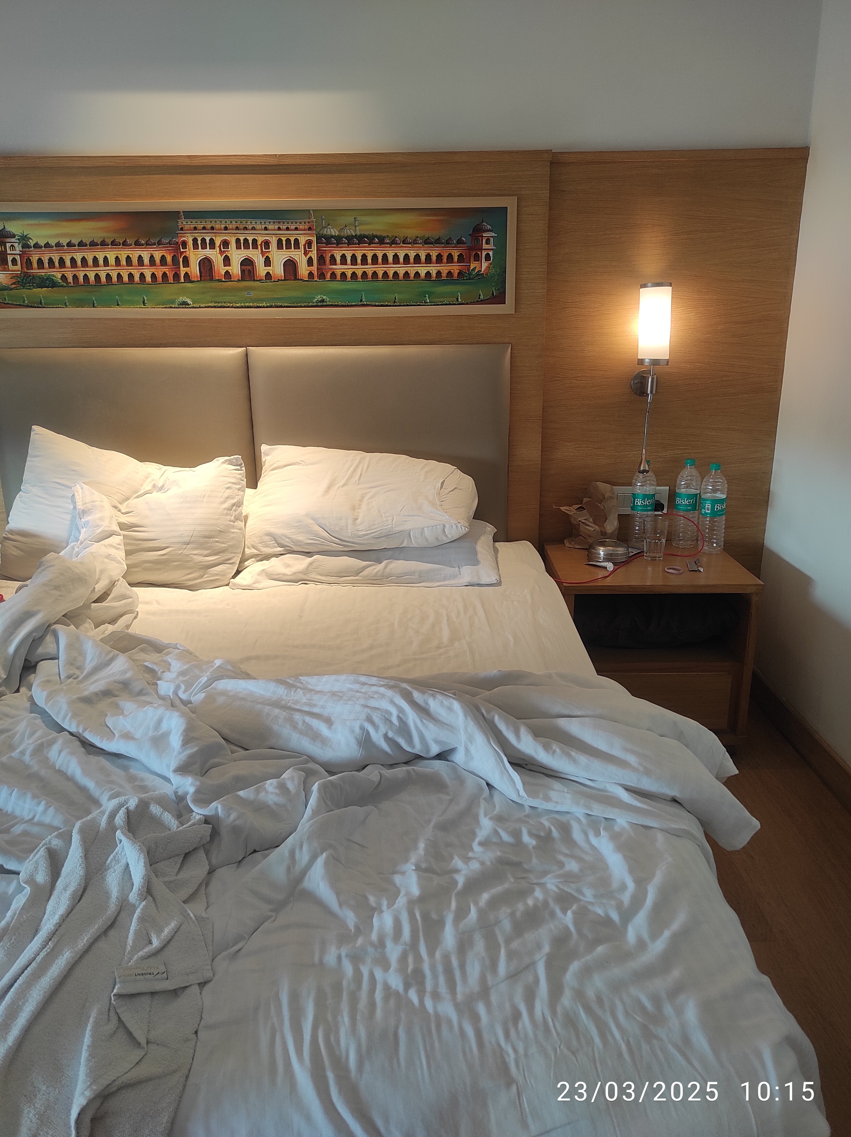 Lemon Tree Hotel, Lucknow-客卧
