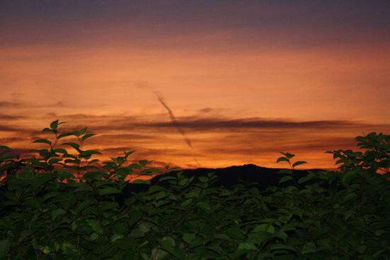 Pillsbury Guest House主图