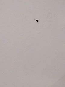 开普敦钻石精品酒店主图