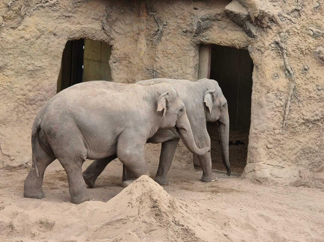 Zoo Heidelberg-海德尔堡必去景点