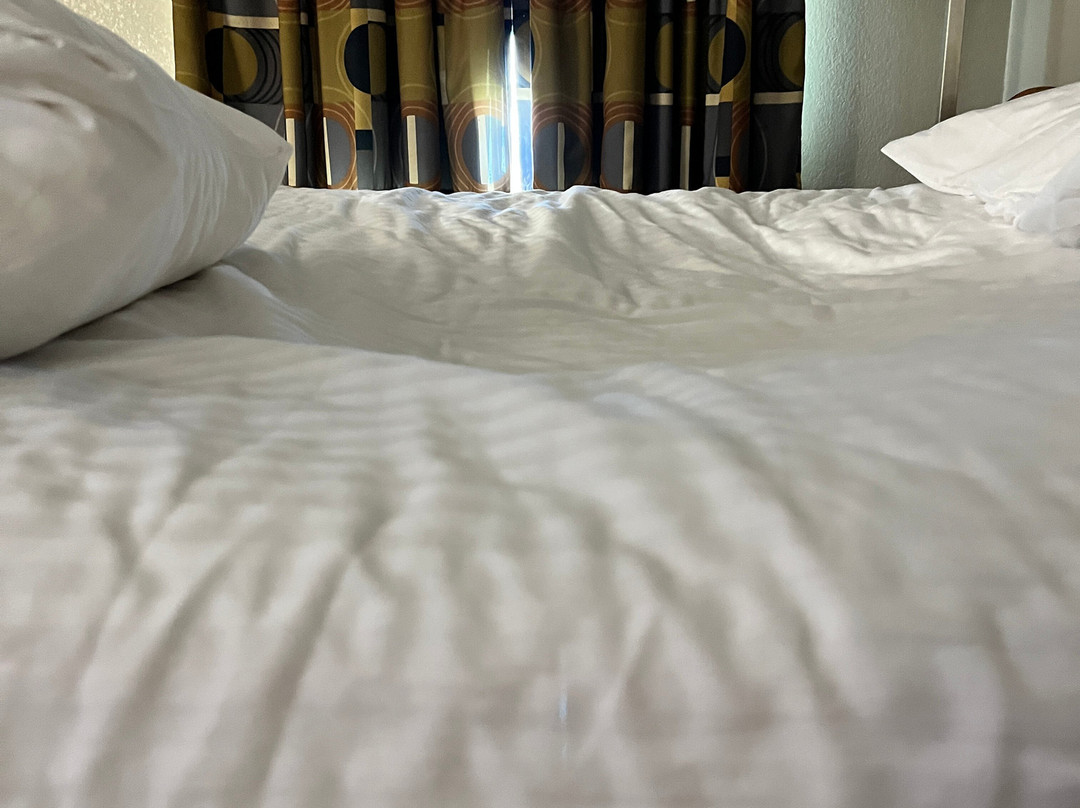 Days Inn by Wyndham West Memphis主图