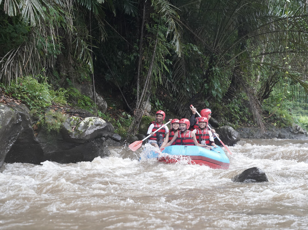 Pandora Bali Rafting景点图片