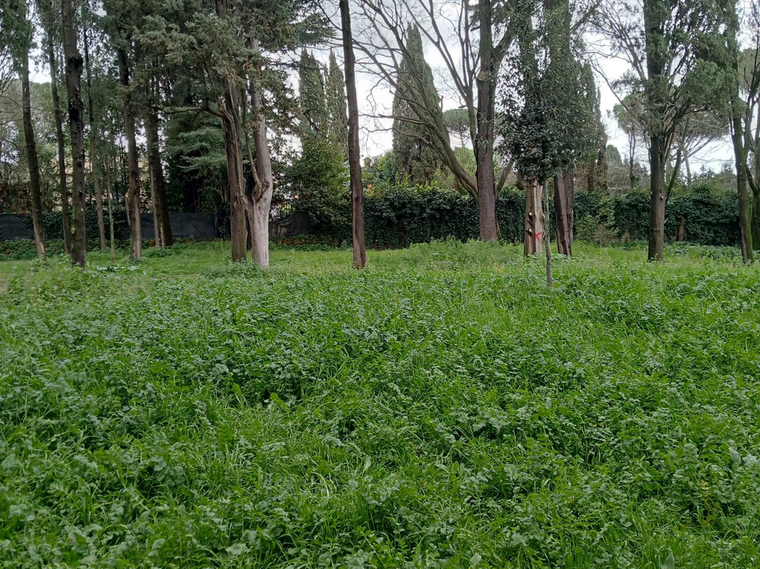 Parco degli Scipioni-罗马必去景点
