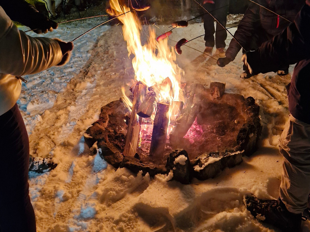 Sleigh Ride in the Tatra National Park-扎科帕内必去景点