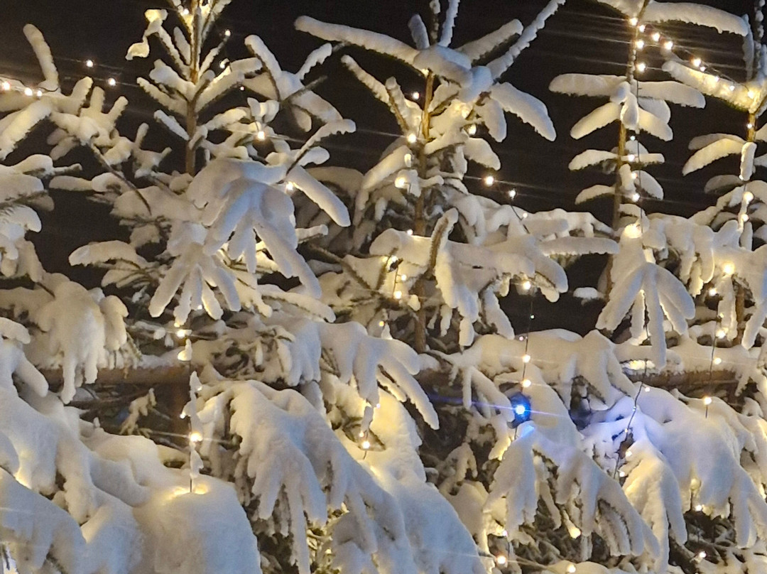 Sleigh Ride in the Tatra National Park-扎科帕内必去景点