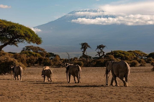 Mangi africa tours and safari limited