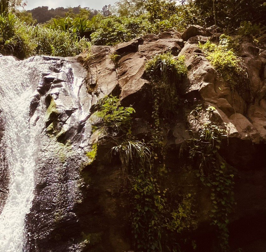 Concord Falls景点图片