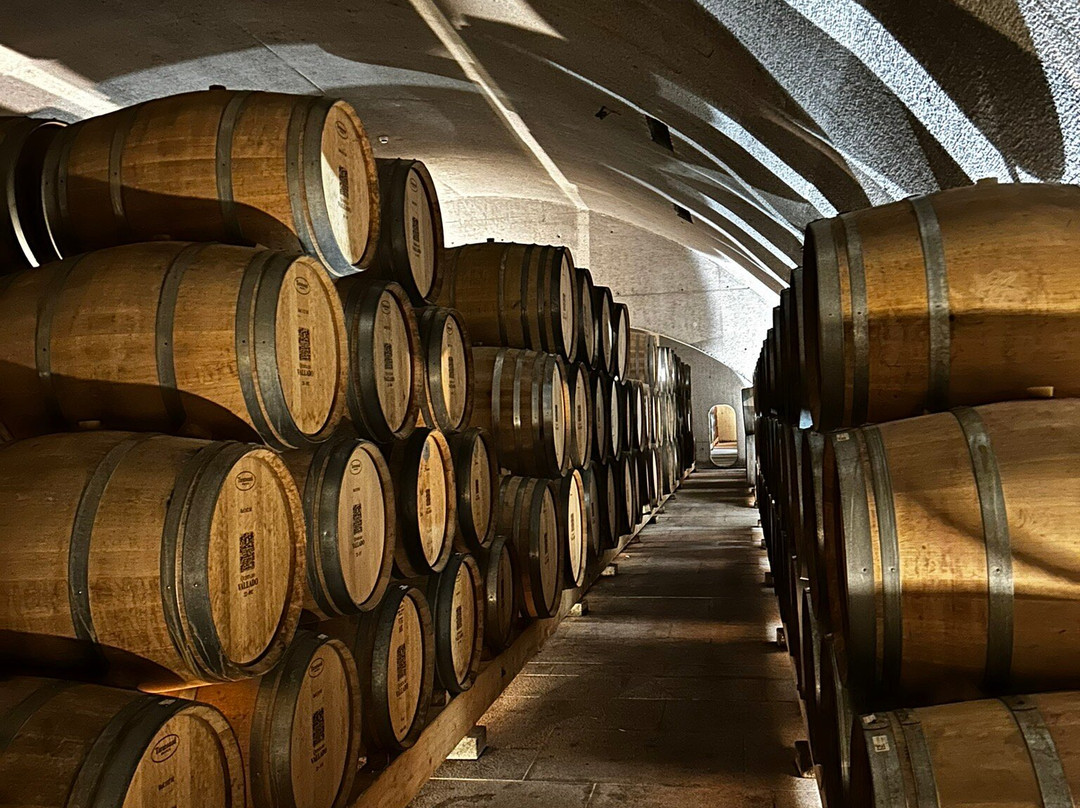 Quinta do Vallado-佩苏达雷瓜必去景点