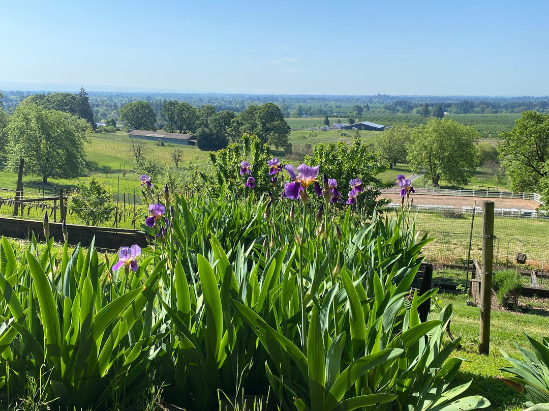 Natalies Estate Winery景点图片