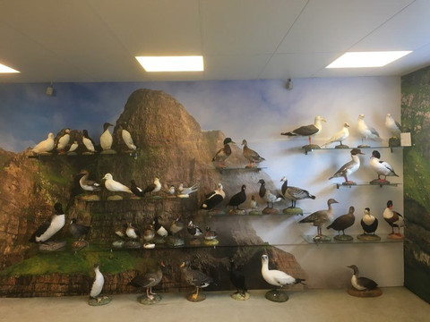 Sunnbiar Soknar Bygdasavn-Suduroy必去景点