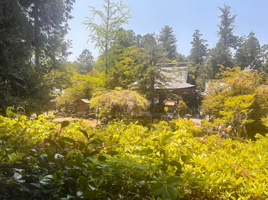 Umamioka Watamuki Shrine-日野町必去景点