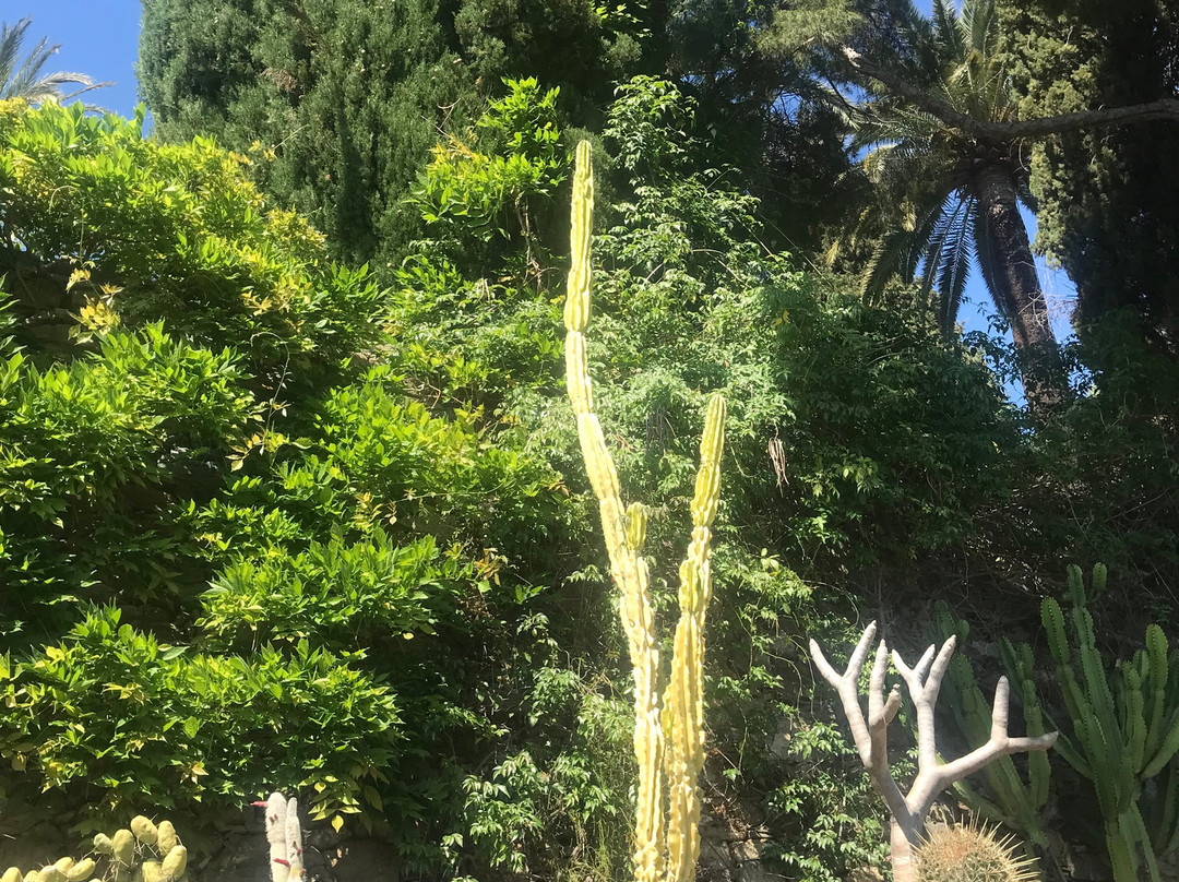 I Giardini di Villa della Pergola-阿拉西奥必去景点