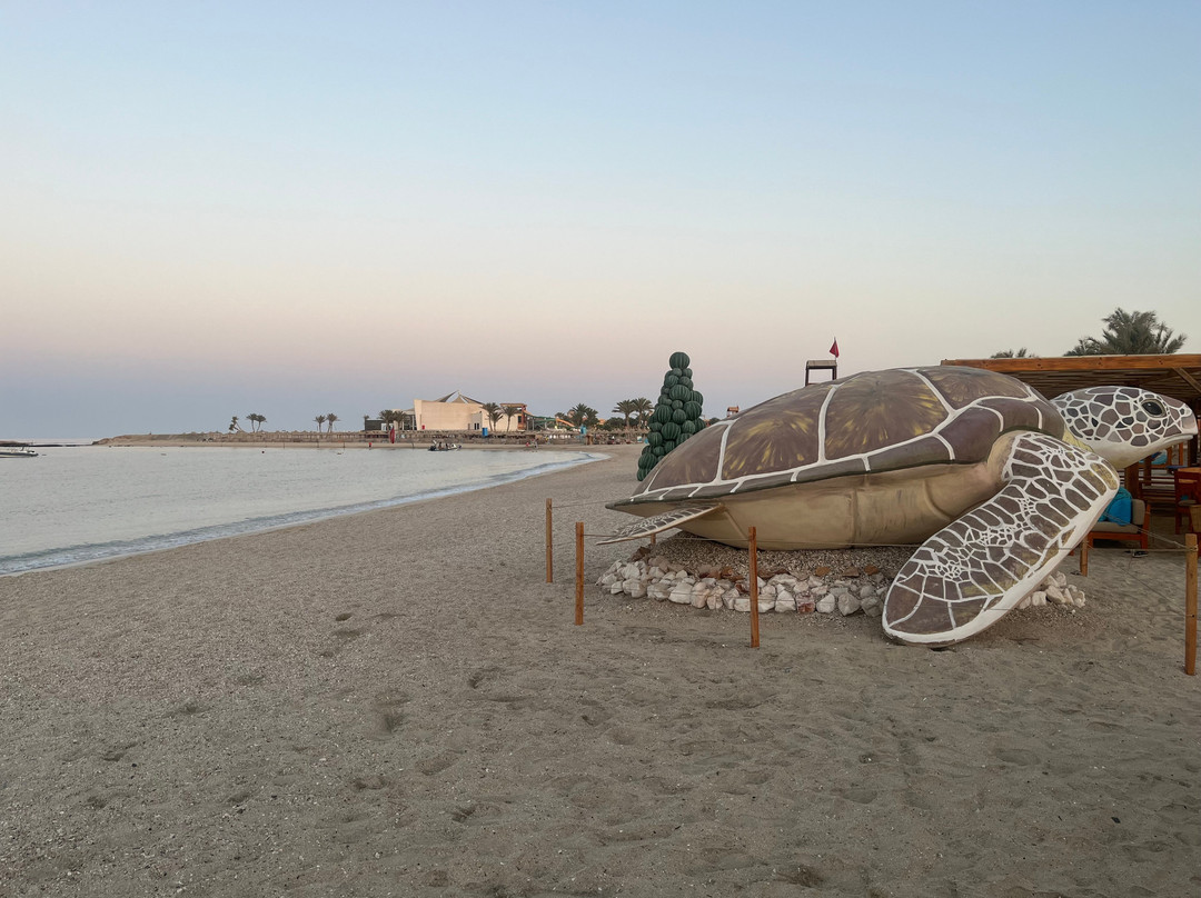 Abu Dabbab Beach景点图片
