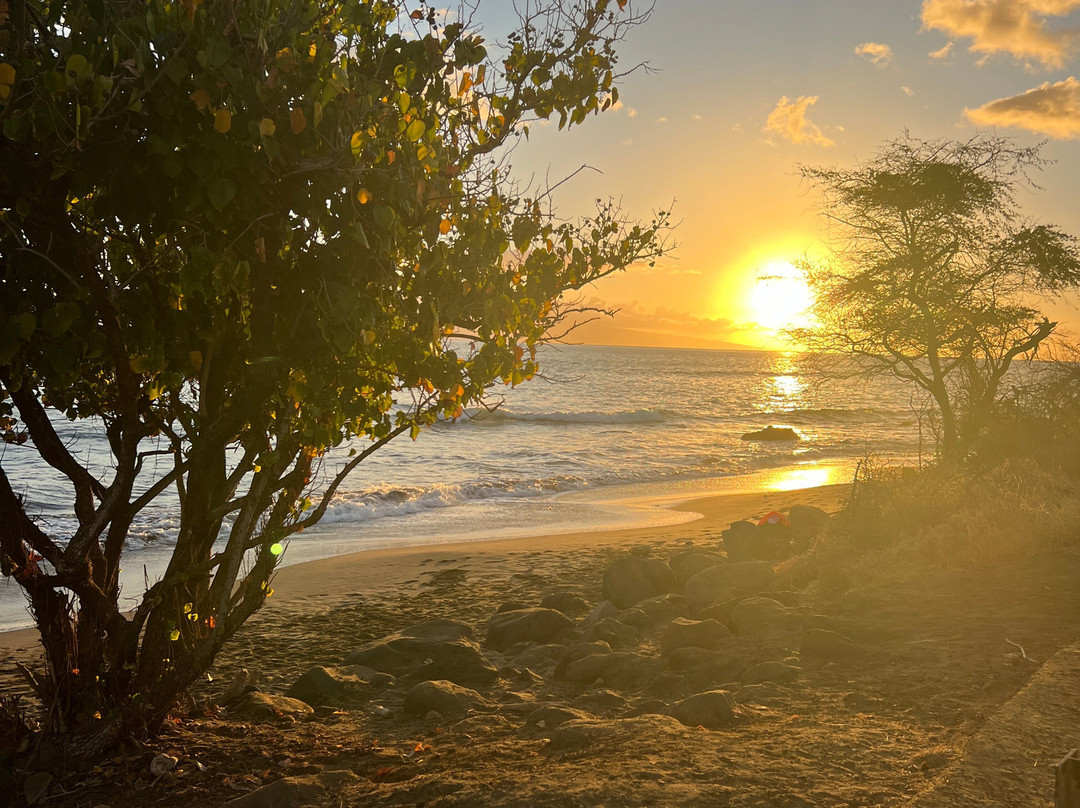 No Ka Oi Surf Ohana-拉海纳必去景点