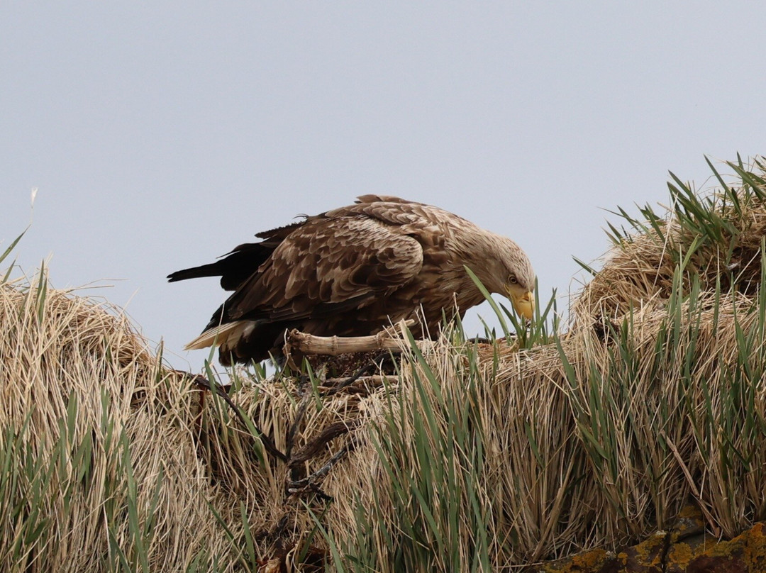 Ocean Adventures-Stykkisholmur必去景点