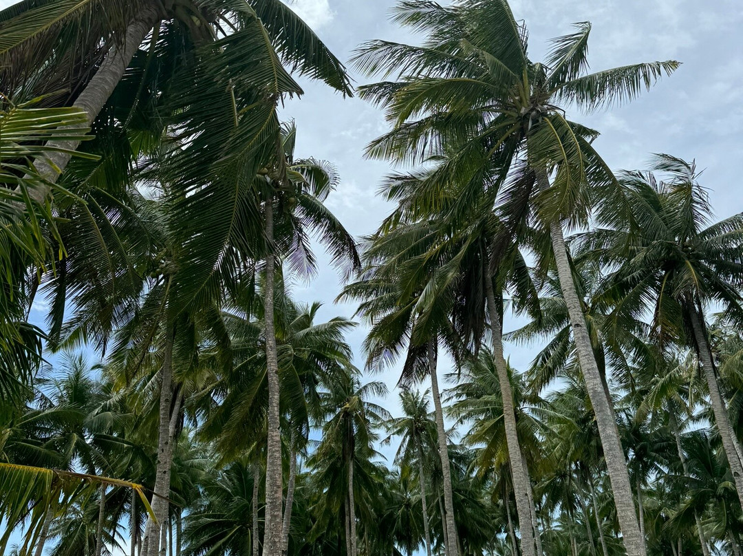 Alegria Beach-锡亚高岛必去景点