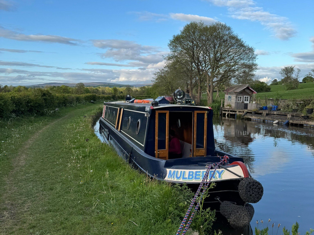 Crabtree Narrowboat Hire景点图片