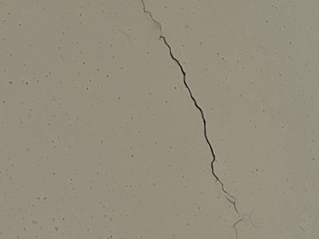 Best Western Plus Keene Hotel主图