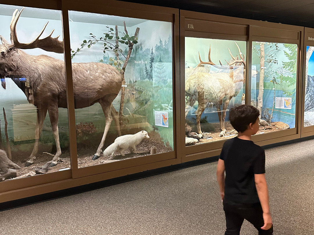 The Schiele Museum of Natural History-加斯托尼亚必去景点