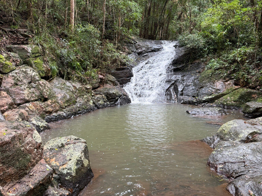 Kondalilla Falls-蒙特维尔必去景点