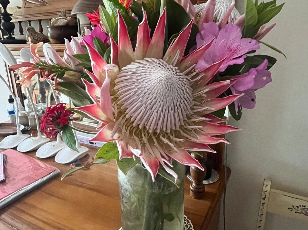 Four Fields Farm主图