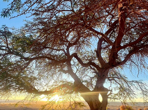 Rutas 360-圣佩德罗-德阿塔卡马必去景点