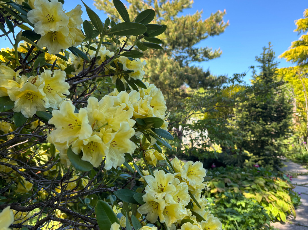 Eggleston Hall Gardens-Eggleston必去景点