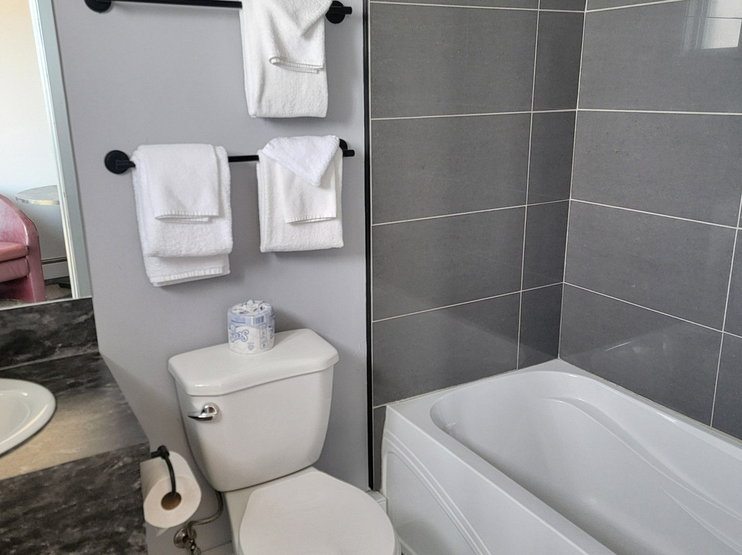 Motel Rimouski主图