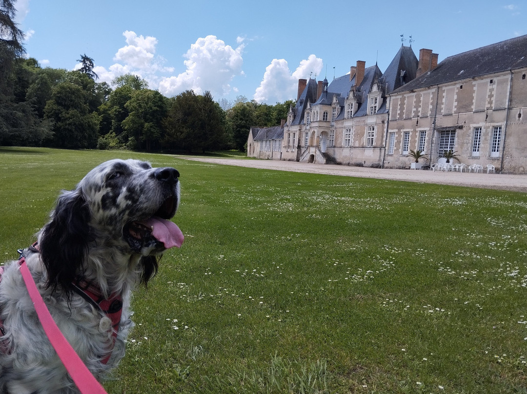 Chateau de Villesavin-Tour-en-Sologne必去景点