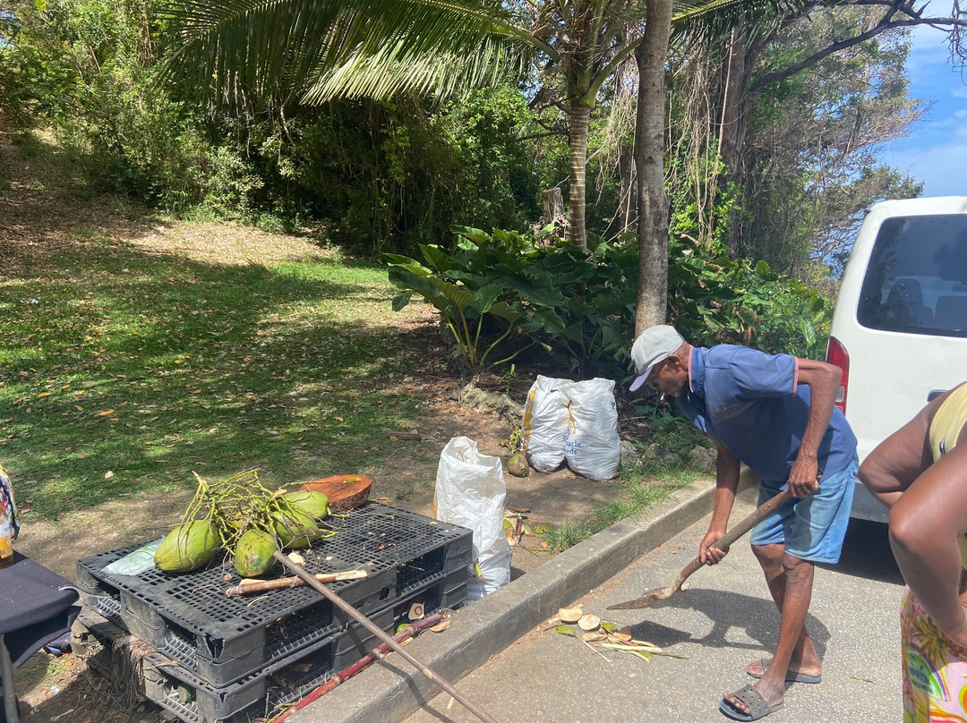 Cherry Tree Hill-巴巴多斯必去景点