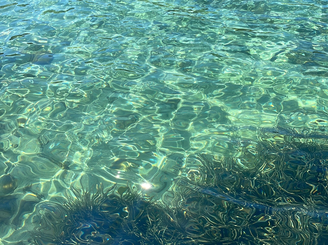 PHILISA APACA - Location & séjours en catamaran-Giens必去景点